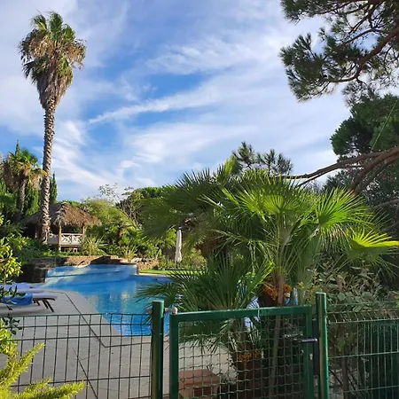 Route De Ramatuelle فيلة *